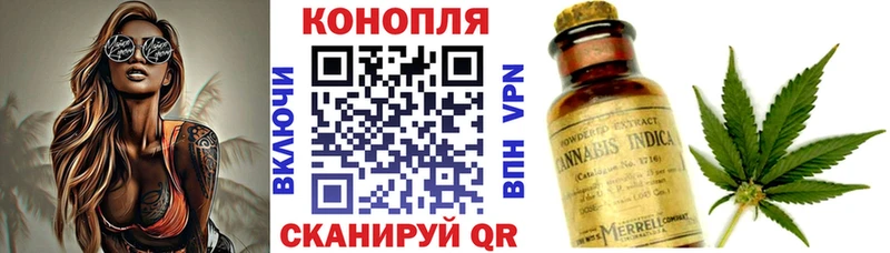Где можно купить наркотики Городовиковск КОКАИН  Каннабис  Меф  Амфетамин  Гашиш 