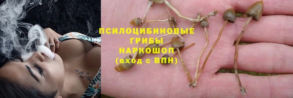 бутират Бугульма