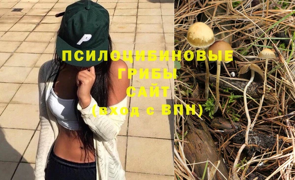 бутират Бугульма