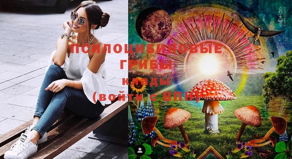 герыч Бородино