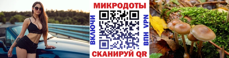 где можно купить наркотик  Городовиковск  Псилоцибиновые грибы GOLDEN TEACHER 